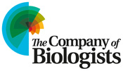logo The Company of Biologists